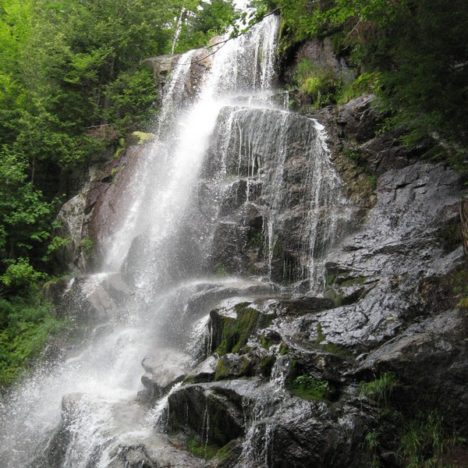 Bobbieswaterfalls will be down for some loving “maintenance” 9-5-2019