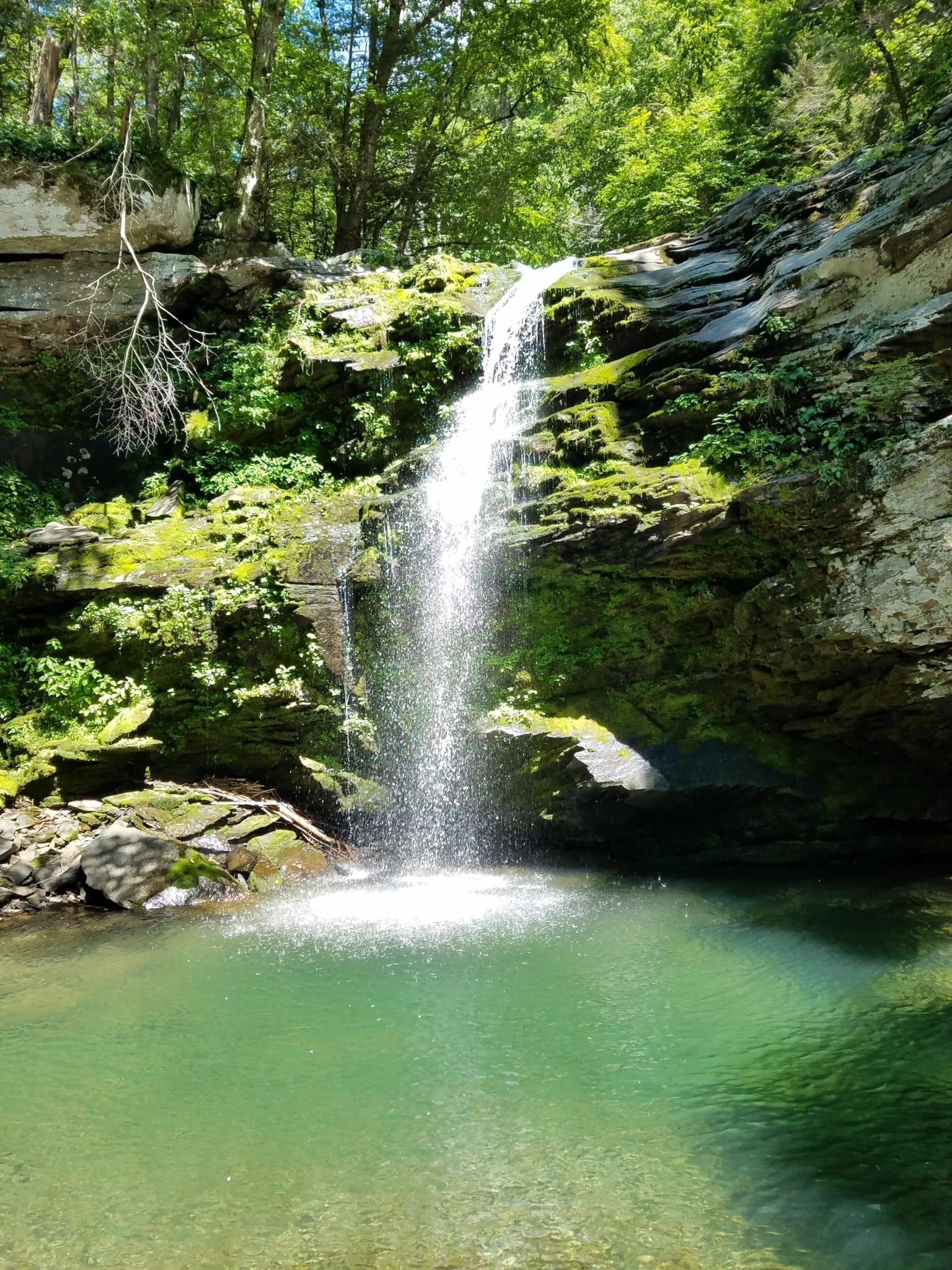 Erie County Forest, Waterfall at – Sardinia Twn, Erie