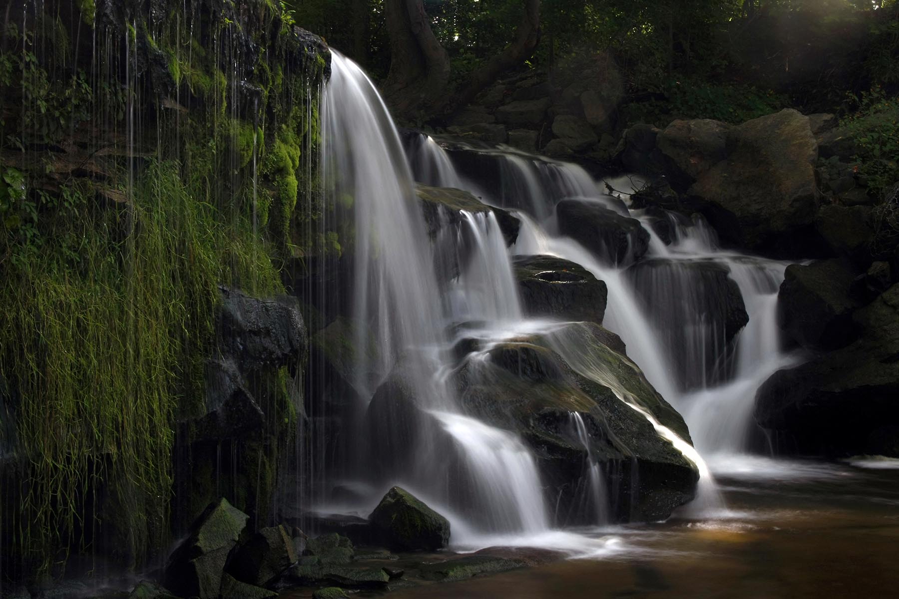 Ithaca Falls Natural Area – Ithaca