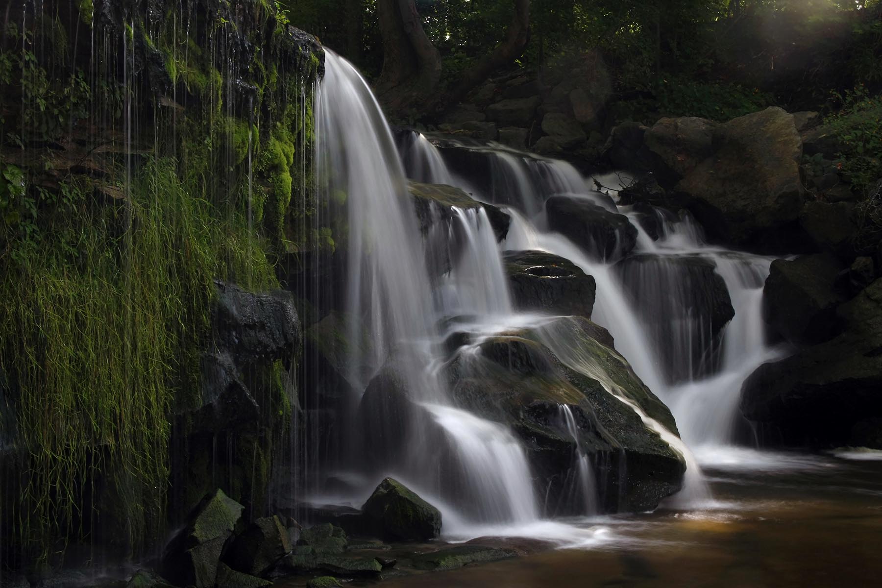 Jenksville State Forest, Waterfall at – Newark Valley, Tioga