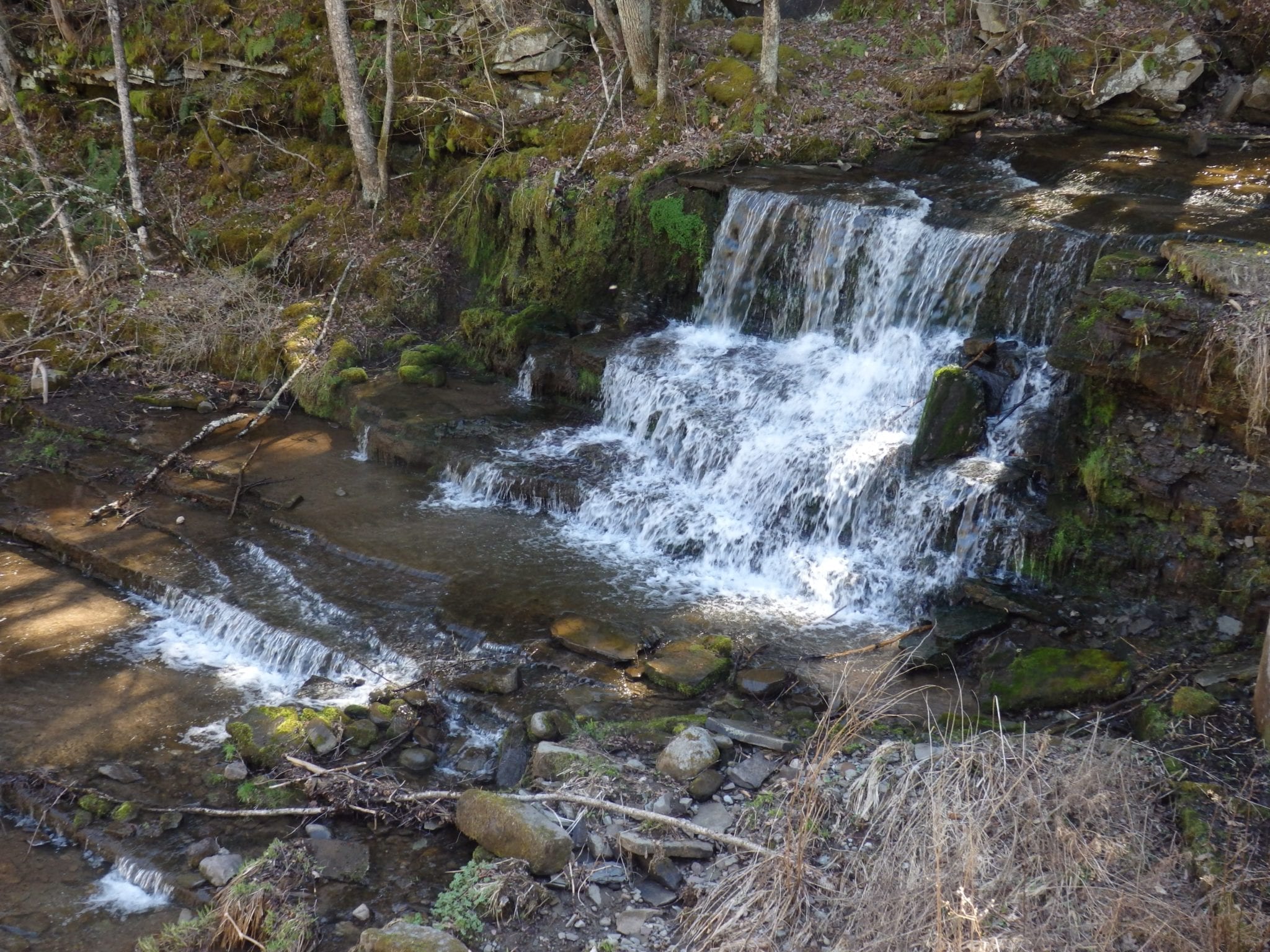Buck Brook, Waterfall on – Star Lake, St. Lawrence