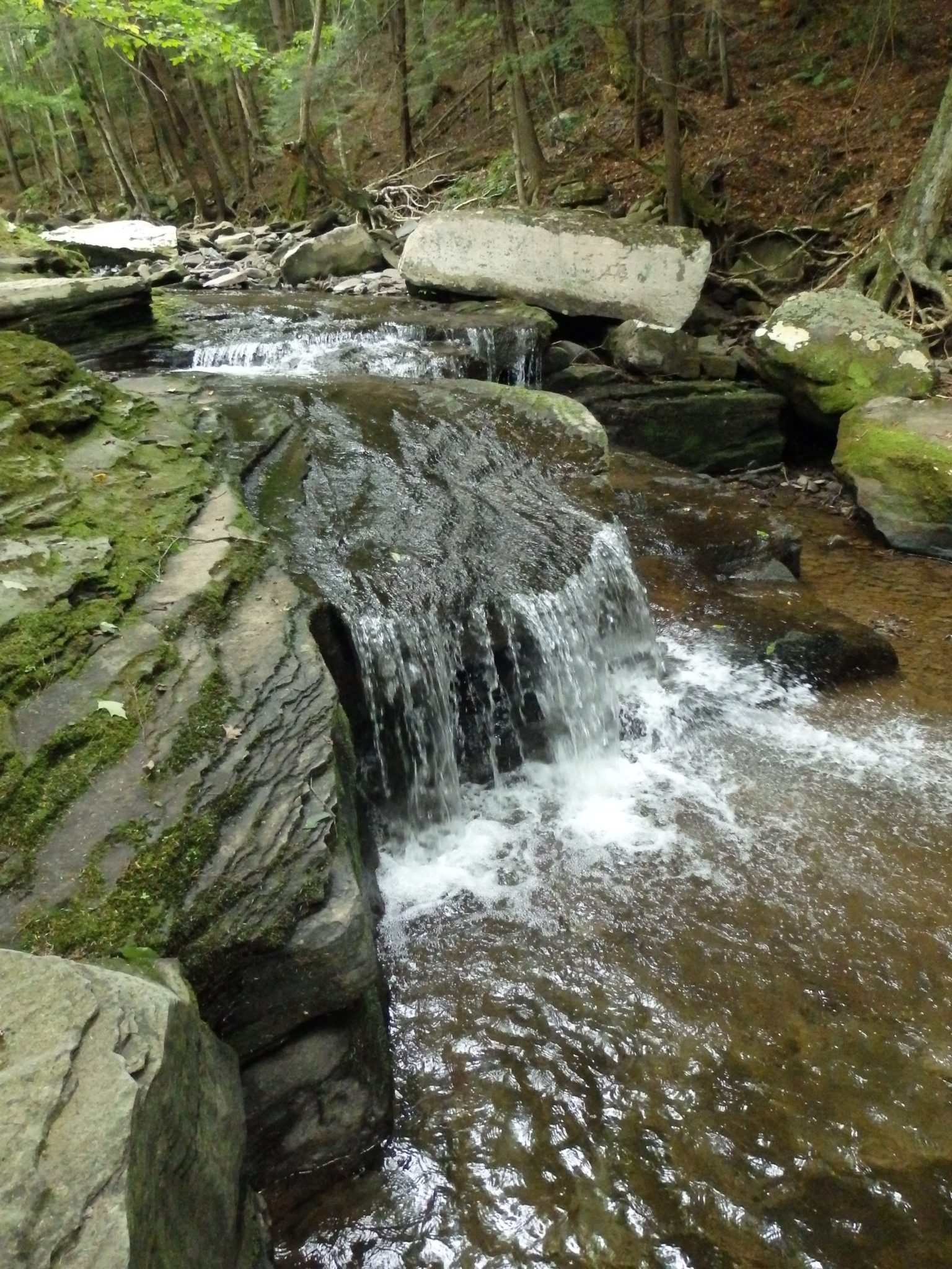 Canasawacta Creek, Falls on – South Plymouth, Chenango