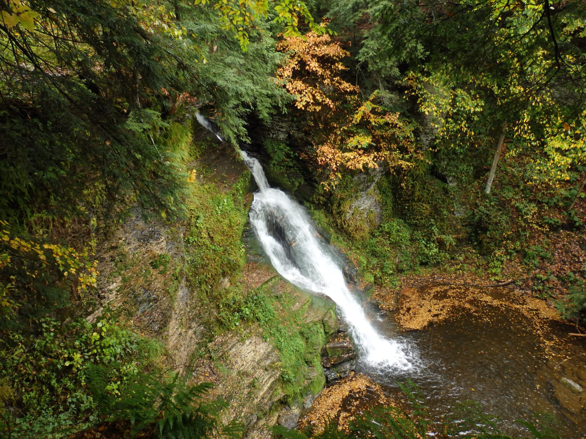 Falls on Tributary to, Nowadaga Creek, Little Falls