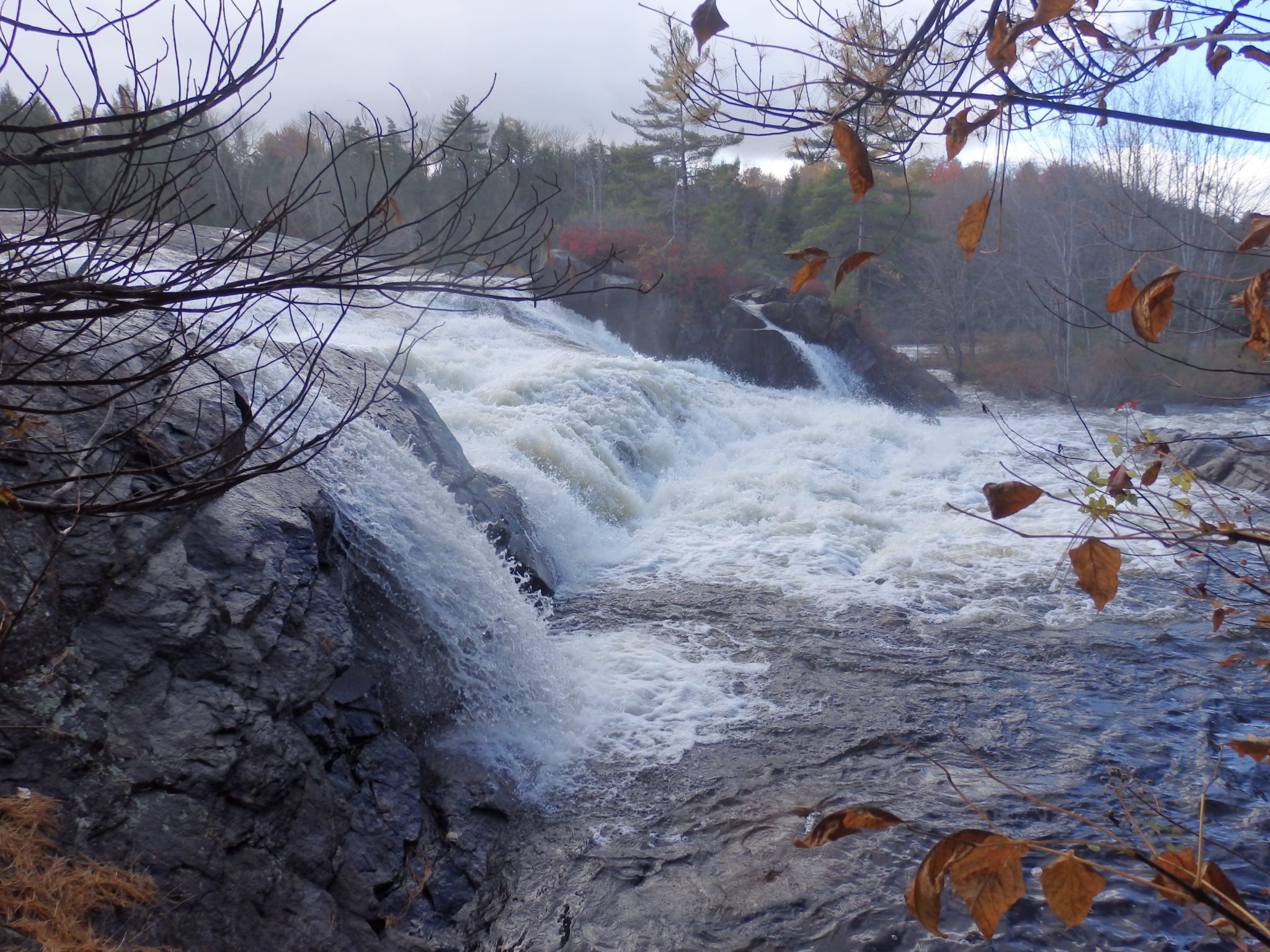 Shurform Rapids, Moose River – Lyons Falls