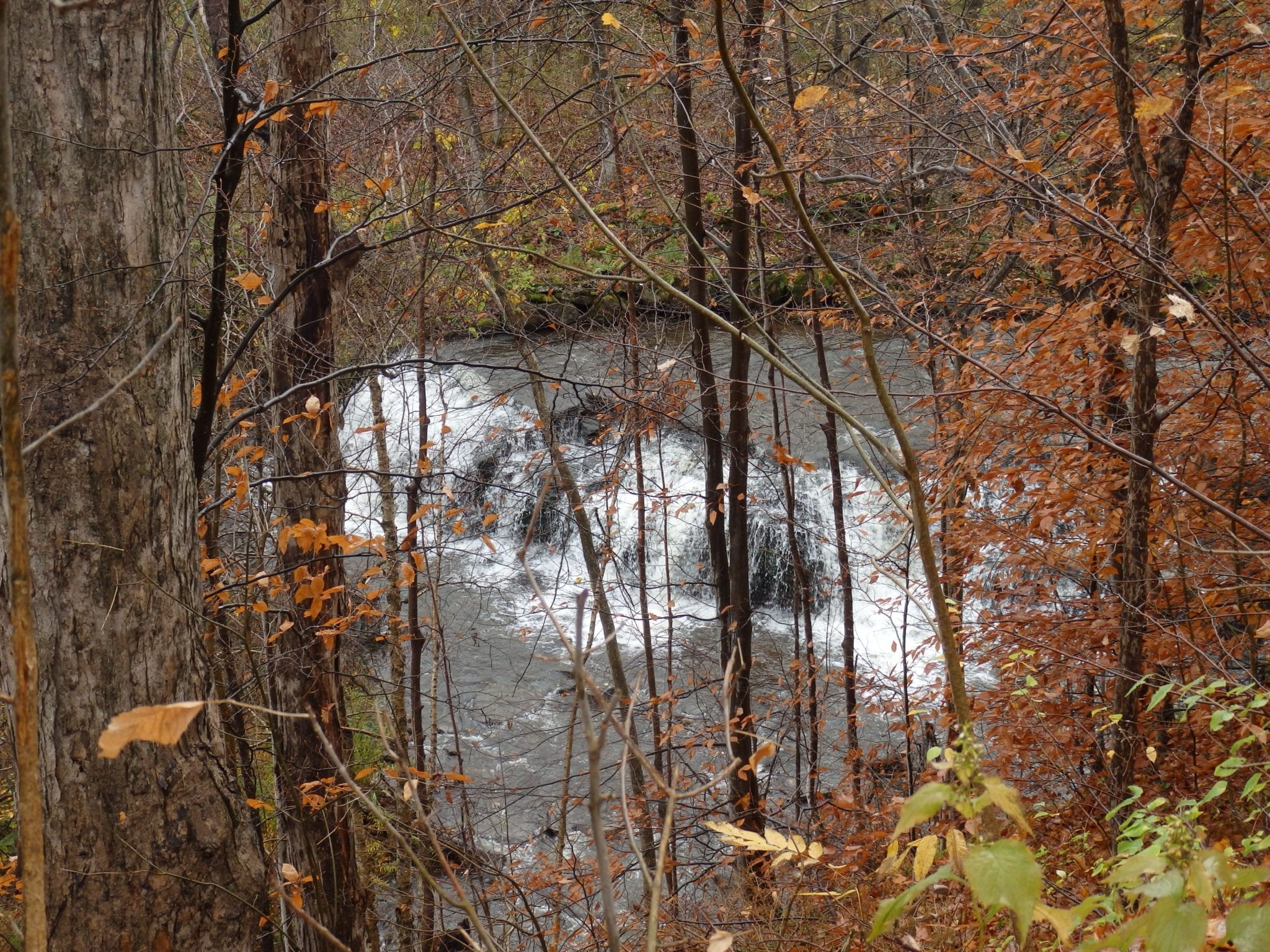 Cincinnati Creek – 3 Waterfalls – Barneveld
