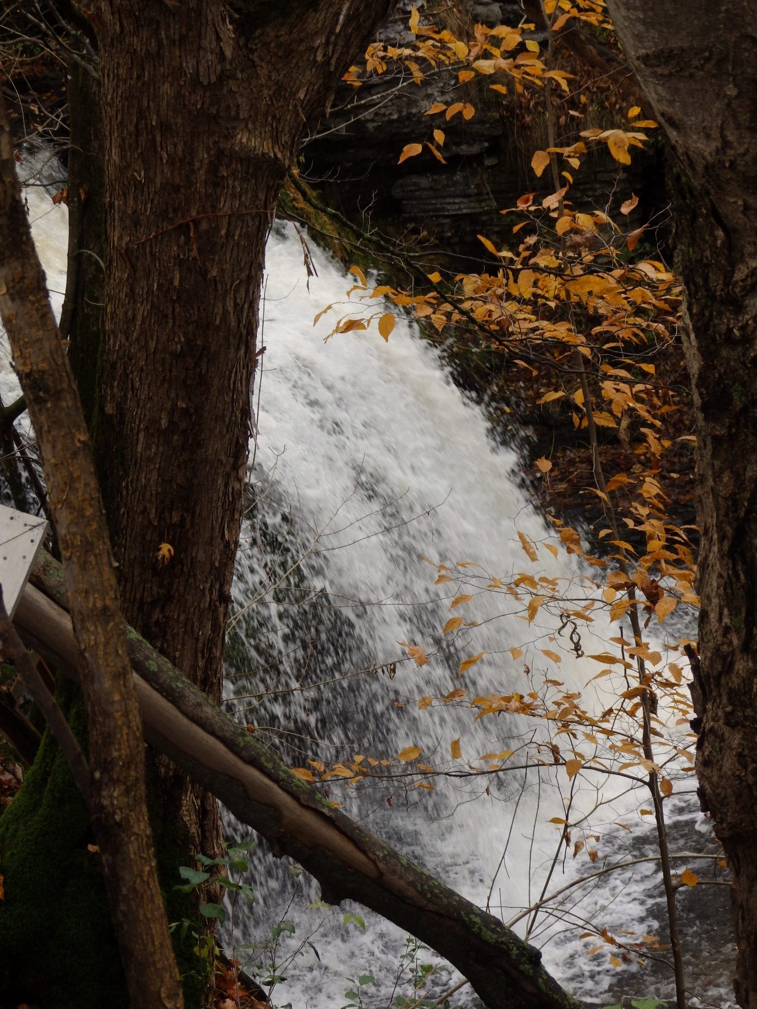 Mill Brook Falls – Edwards, St. Lawrence
