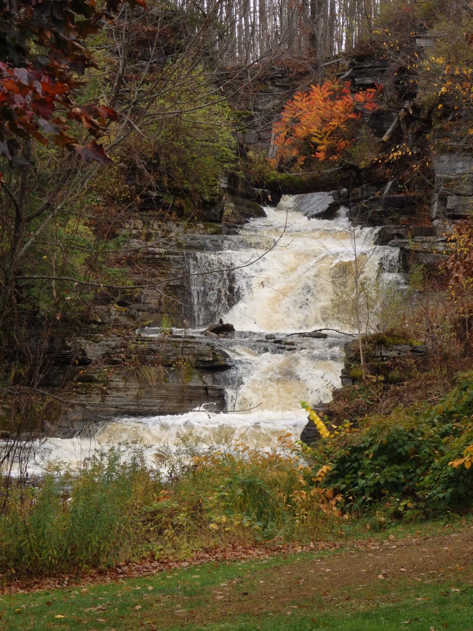 Swamp Falls – Dansville, Town of, Steuben