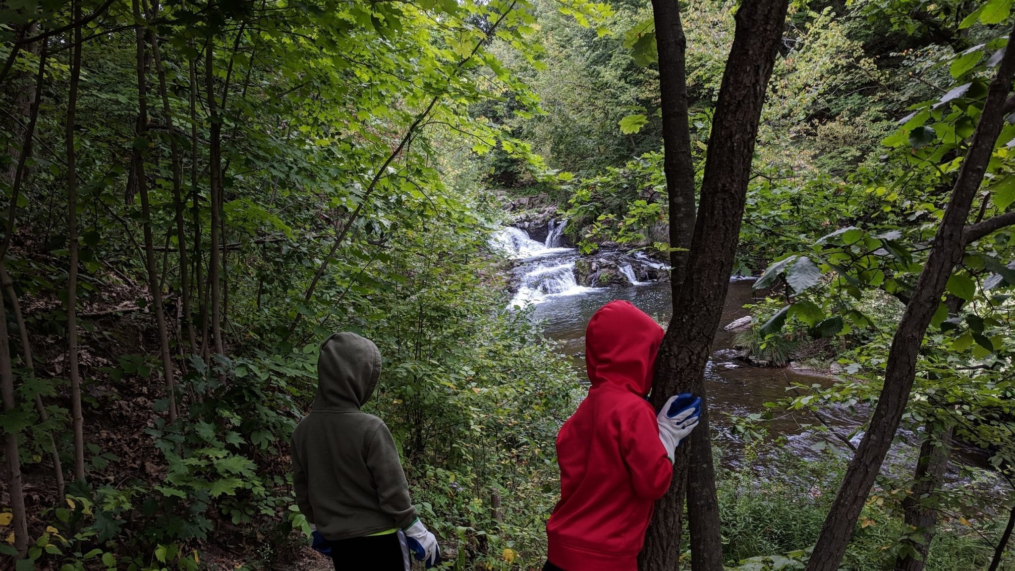 7 of the Best Waterfall Hikes in New York