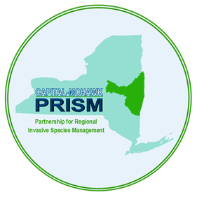 PRISM-Proud-Partner