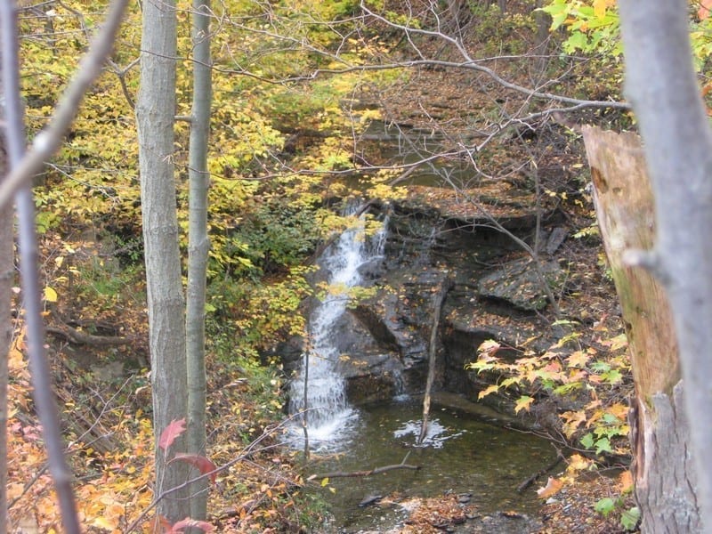 Simpson Creek Waterfall – Willard, Seneca