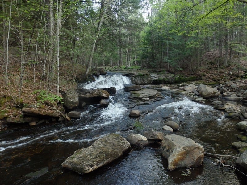 Beebe Hill State Forest, Falls In – Austerlitz, Columbia