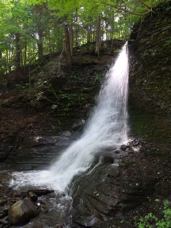 Buckley Hollow, Falls #3 – Oxford, Town of, Chenango