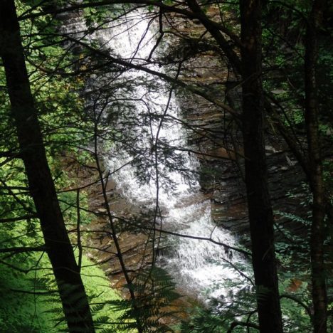 Buttermilk Falls – Grahamsville, Ulster
