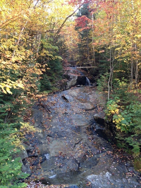 Whittaker Falls, Middle – Martinsburg, Town of, Lewis