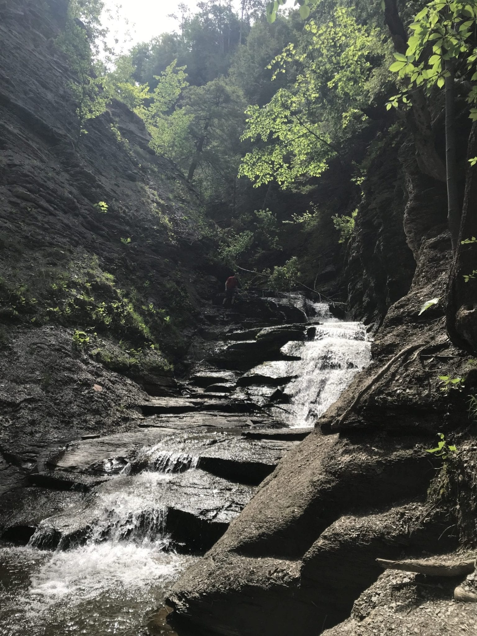 Conoe Shower and Dish Creek Falls – Mt Morris, Town of, Livingston