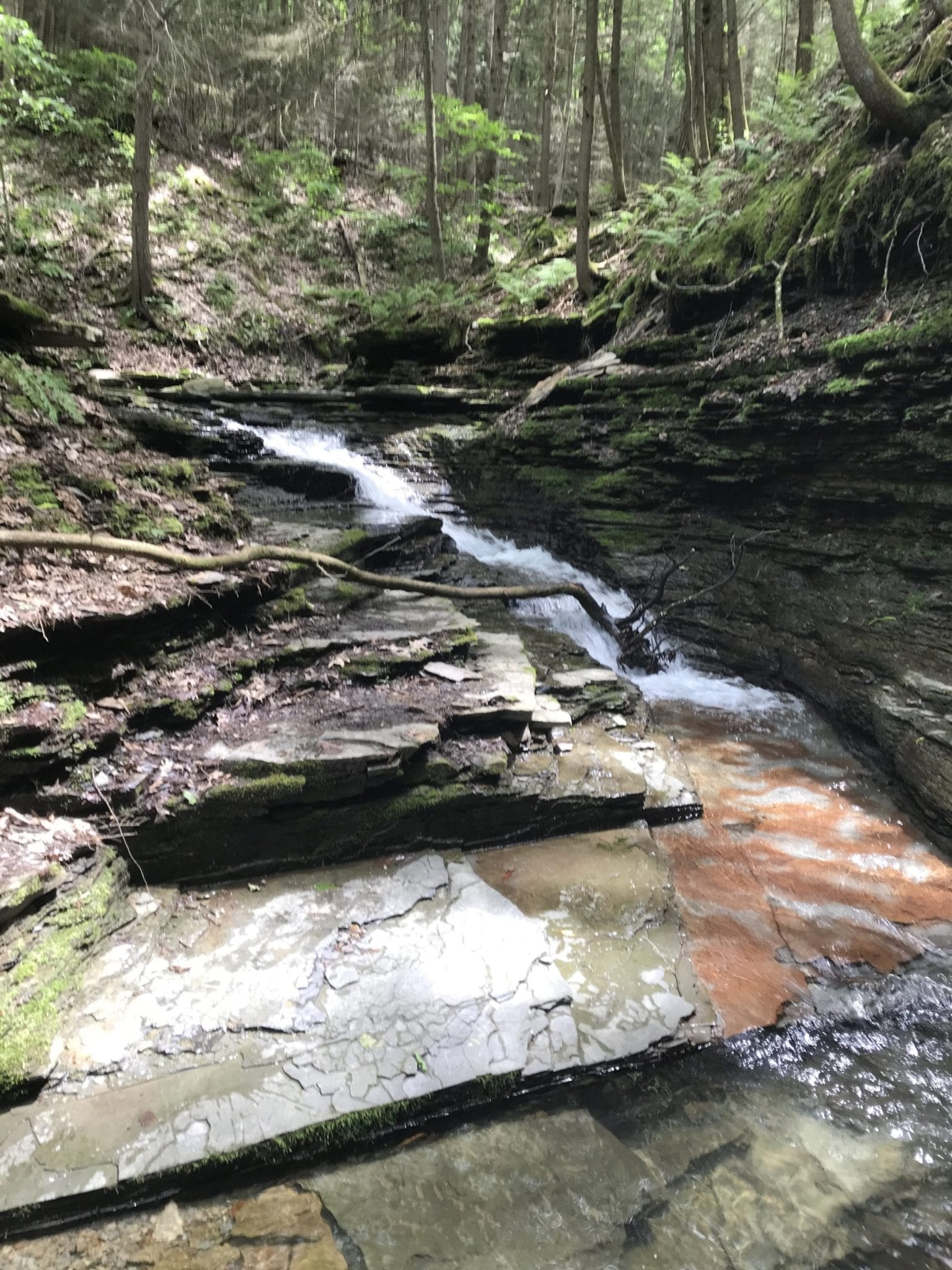 Conklin Gully Falls #10 – Italy, Town of, Yates