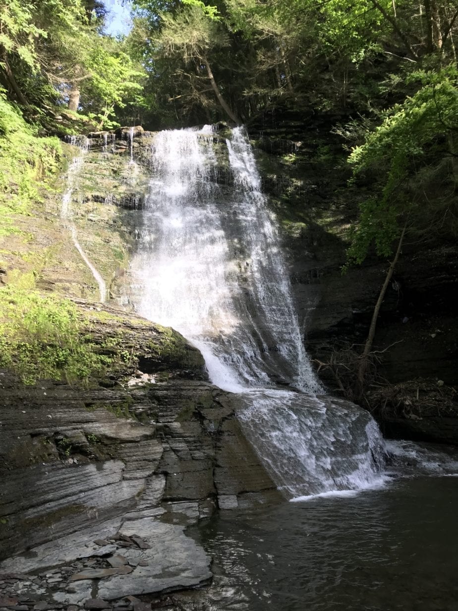 Reynolds Gully Falls #3 - Springwater, Livingston | Dig The Falls