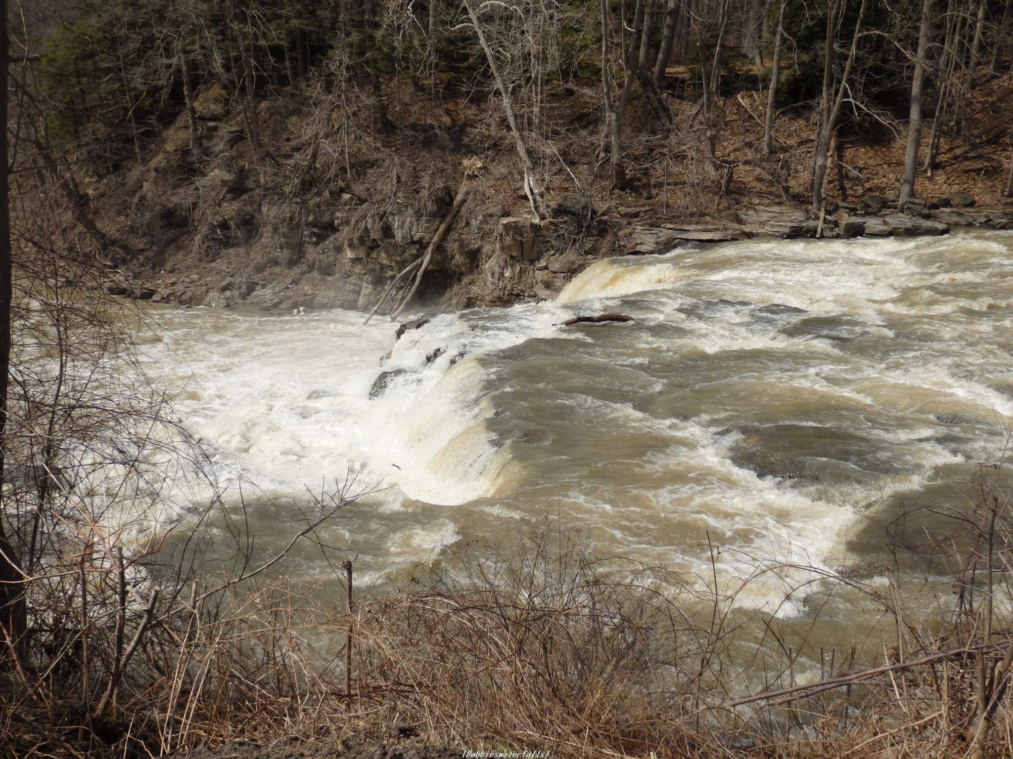 Independence River, Falls on, Pine Grove Rd – Glenfield, Lewis