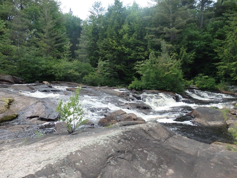 Grout Brook, falls on – Homer, Cortland