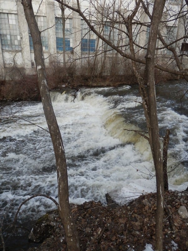 North Branch Grass River Rapids – Clare, Town of, St. Lawrence