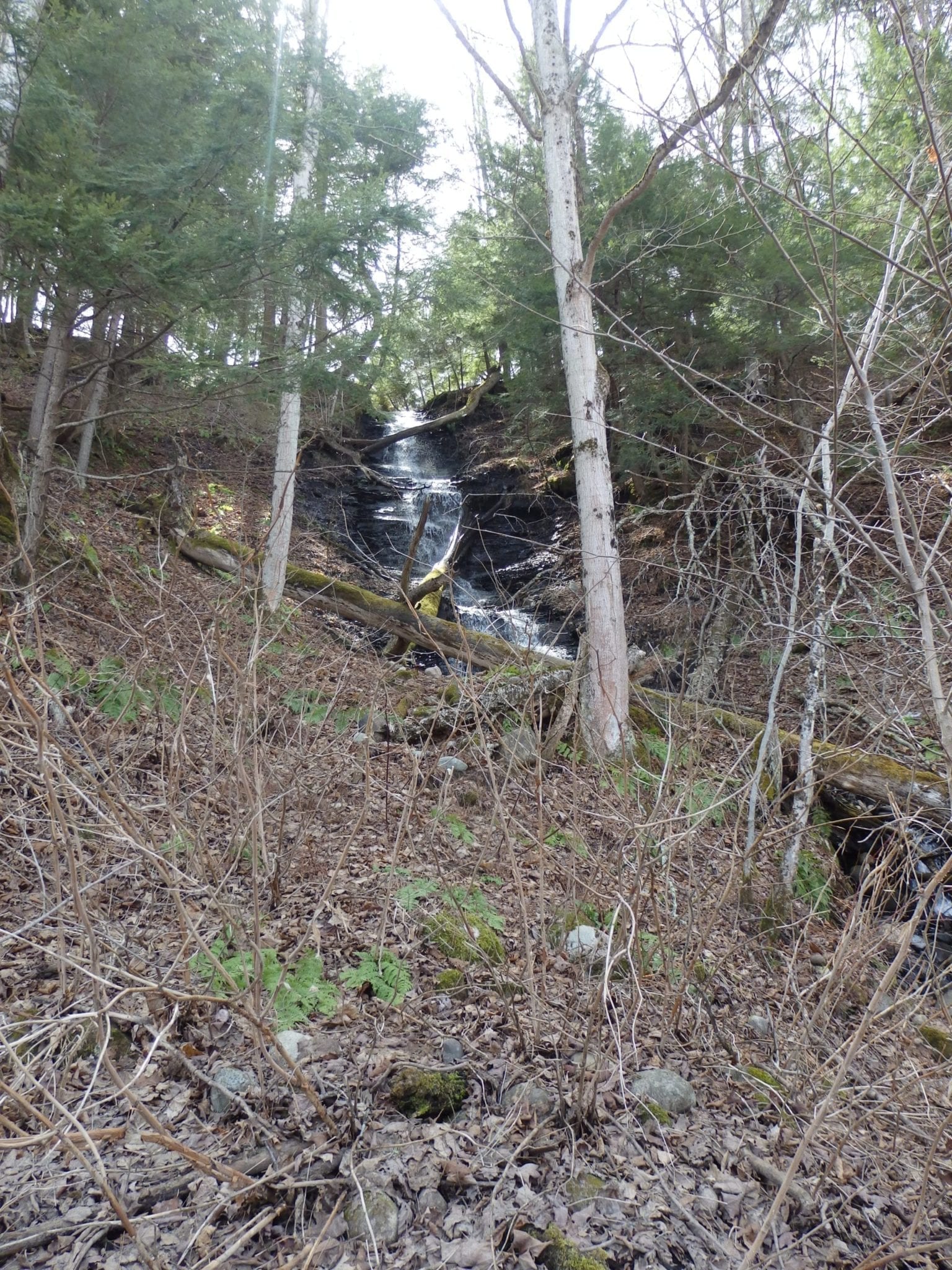 Moccasin Kill, Falls on – Rotterdam, Town of, Schenectady