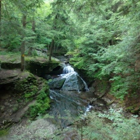Sackett Footbridge Falls – Ithaca, Tompkins