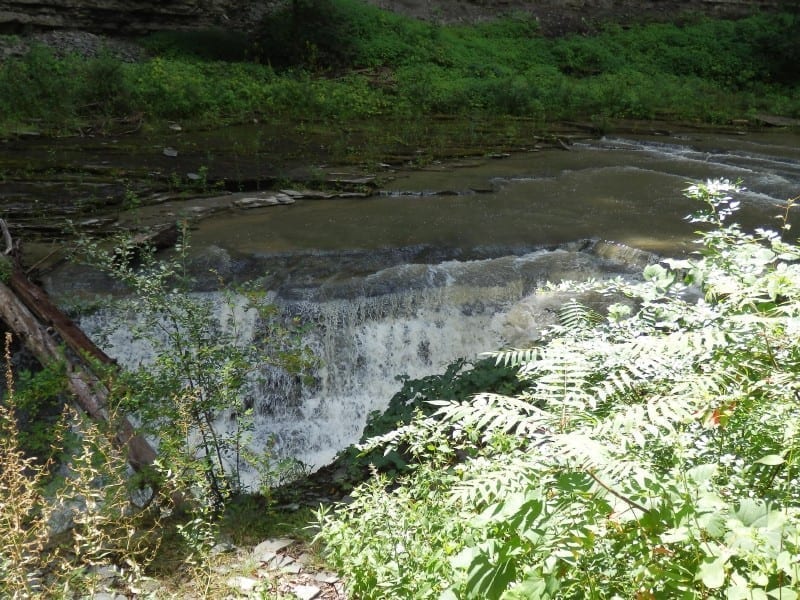Swans Falls – Glenfield, Lewis