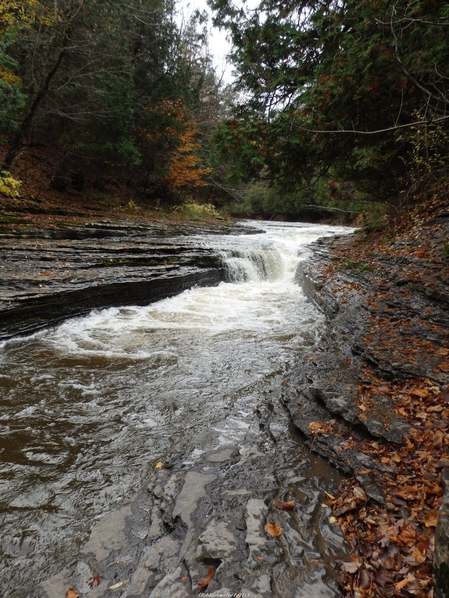 Whittaker Falls, Middle – Martinsburg, Town of, Lewis