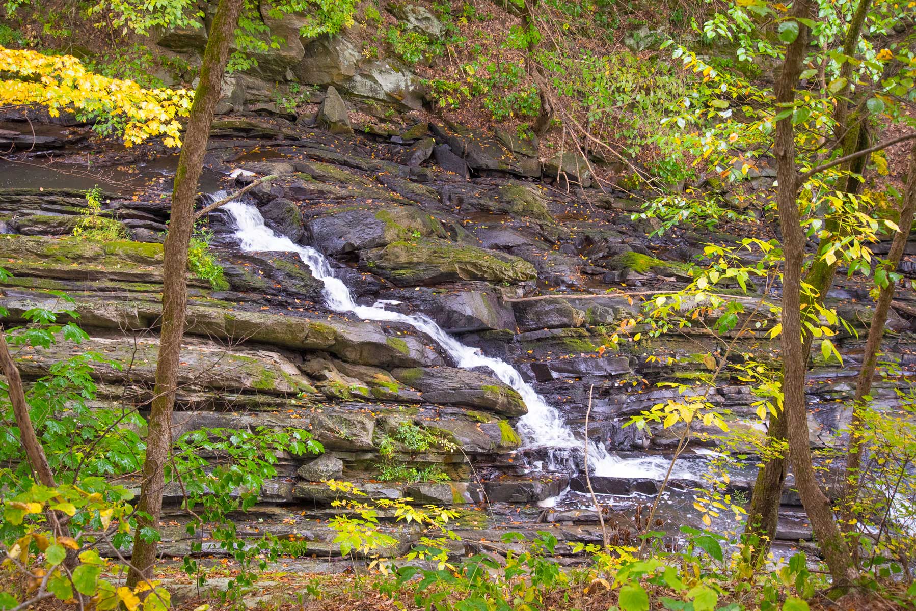 Whispering Falls – Watkins Glen, Schuyler