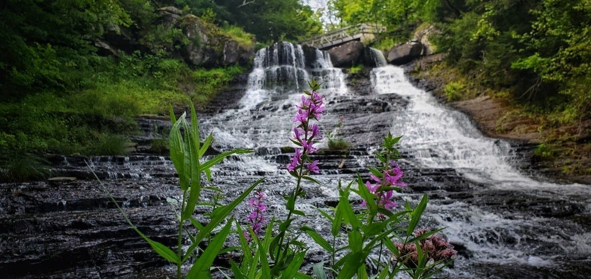 Chasing Waterfalls of the Capital Region & Southern Adirondacks
