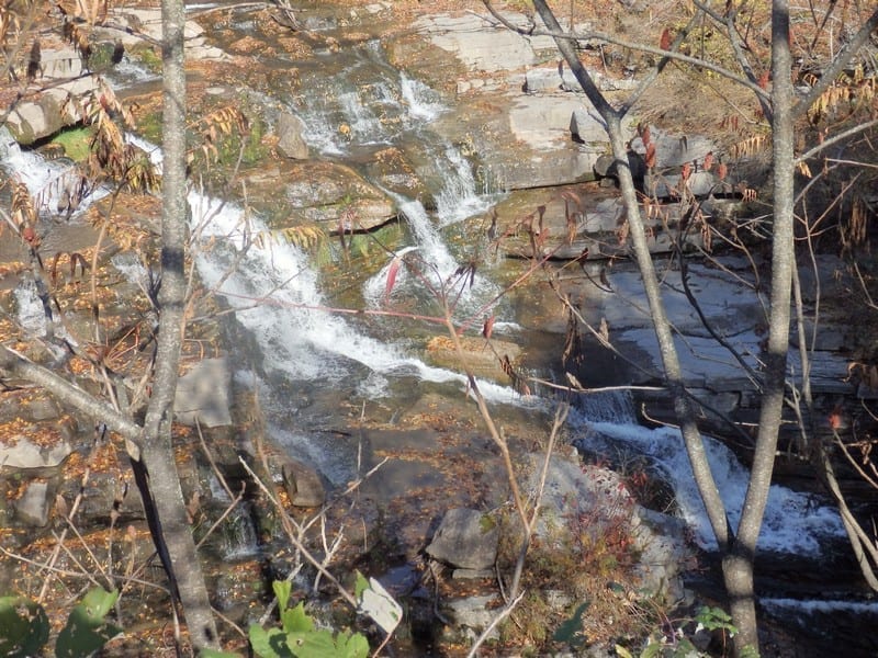 Huckleberry Ridge State Forest Waterfalls #01 – Greenville, Orange