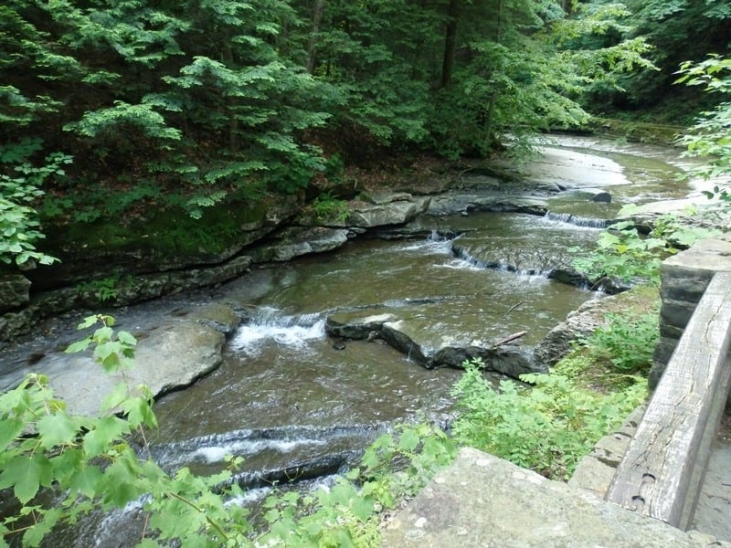 County Line Falls, Lower – Springwater, Livingston
