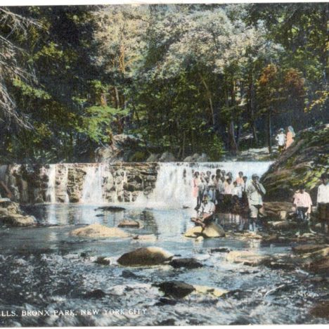 Waterfall postcards Set #1