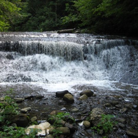 Caribou Shelter Falls – Newcomb, Town of, Essex