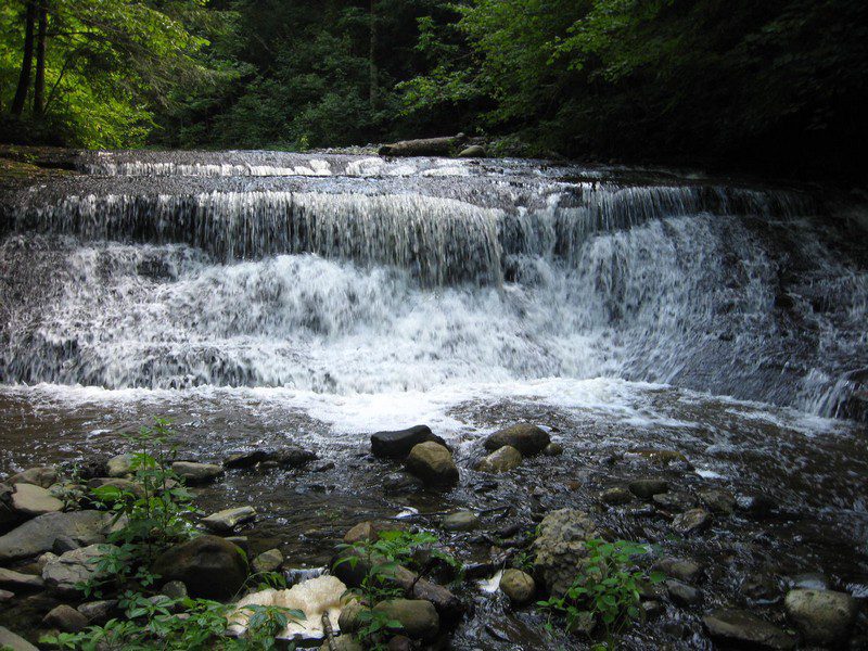 Carpenter's Falls and Bahar Nature Preserve Dig The Falls